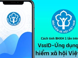 Hướng dẫn tính BHXH 1 lần trên VssID Online đơn giản, nhanh chóng