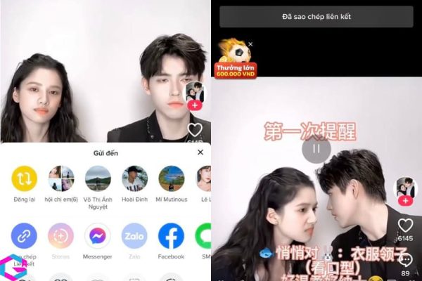 sao chép liên kết tiktok