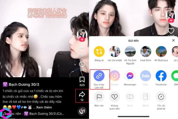 sao chép liên kết tiktok
