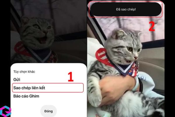 tải video trên Pinterest