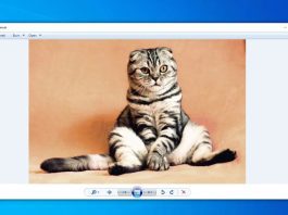 Top 3 ứng dụng xem ảnh Win 11 ít tốn tài nguyên máy tính nhất Top 3 ứng dụng xem ảnh nhanh ít hao tốn tài nguyên máy tính trên Windows 11