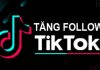 Hướng dẫn 24 cách tăng lượt follow trên TikTok nhanh nhất mà ai cũng thực hiện được