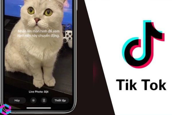 cách lưu video tiktok khi không có nút lưu