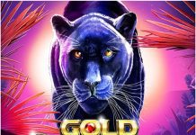 Gold Panther Maxways - Trải nghiệm giải trí đỉnh cao cùng Báo Vàng tại FUN88